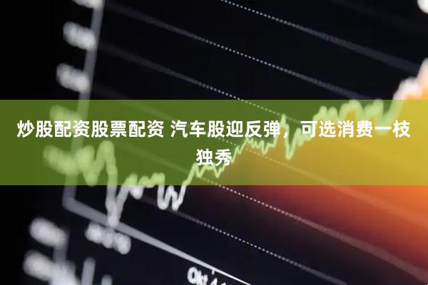 炒股配资股票配资 汽车股迎反弹，可选消费一枝独秀