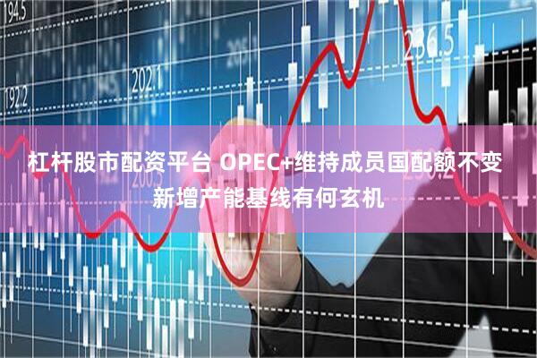 杠杆股市配资平台 OPEC+维持成员国配额不变 新增产能基线有何玄机